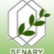 安博(Anbo)手机官网入口官网